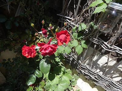 Earth Laughs in Flowers