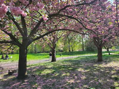 SPRINGTIME IN LONDON: A Walk in Hyde Park