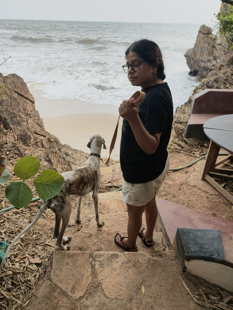 The beachkeeper