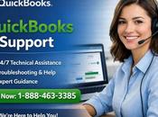 Still Facing QuickBooks 2024 Crashes Windows Expert Help Today
