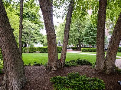 In the shade [Shipyard Park]