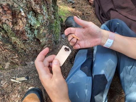 Celtica Valle d'Aosta: making a leather bracelet with Tres Lunas