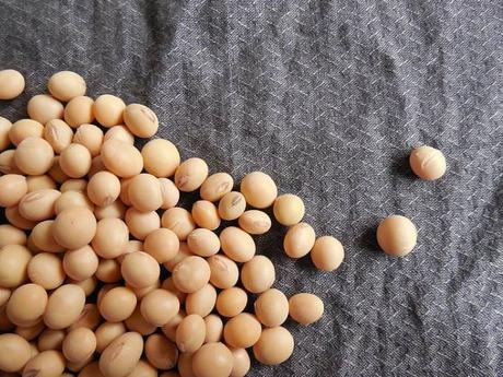 Can I give my Baby Soy? There are many myths floating around about soy, so we decided to bust them all in this one post! 