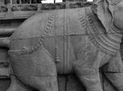 Srirangam Elephant