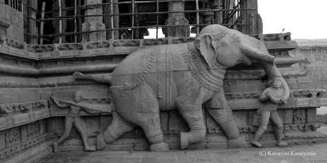 Srirangam Elephant ! Srirangam Elephant !