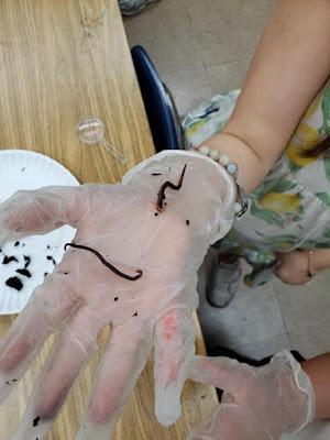 WIGGLY WORMS AND NEWLY HATCHED CHICKS: A Visit with Mrs. Best’s Kindergarten Class