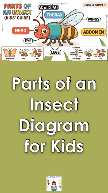 Spanish Easy Lesson Insects and Bugs Bilingual Activities