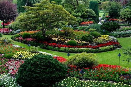 Which Features Matter Most in a Lawn Irrigation Design Tool?