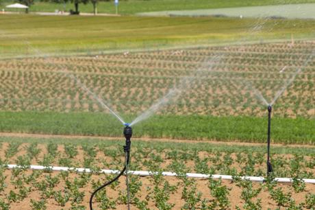 Which Features Matter Most in a Lawn Irrigation Design Tool?