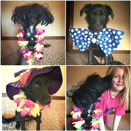 puppy costumes