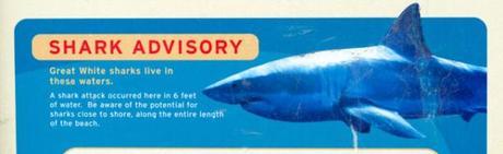 Stinson Beach shark sign