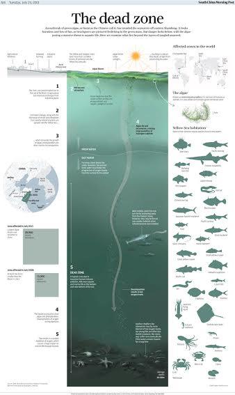 SND35 Awards 5: South China Morning Post—storytelling via superb, winning infographics