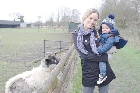 bucks goat centre, farm, farm for babies