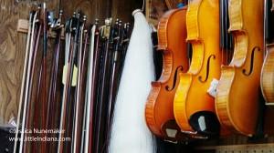 Biggs Violin Shop in Porter, Indiana