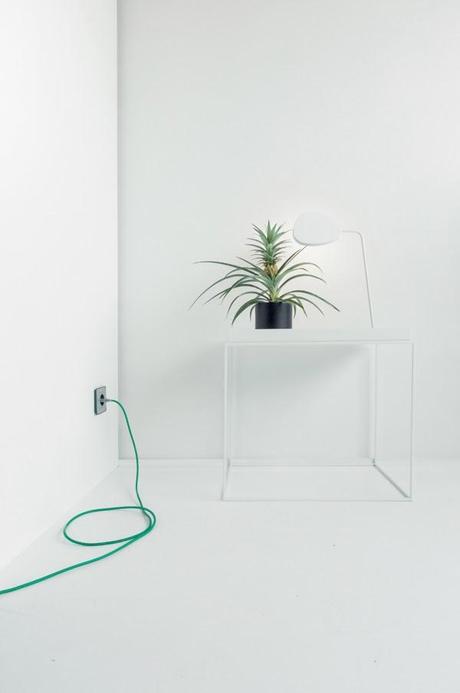 Green styling with Intsight