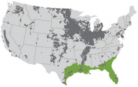 If the researchers achieve their goal, growers will be able to meet 147 percent of the U.S. mandate for renewable fuels by growing the modified sugarcane on abandoned land in the southeastern United States (about 20 percent of the green zone on the map)