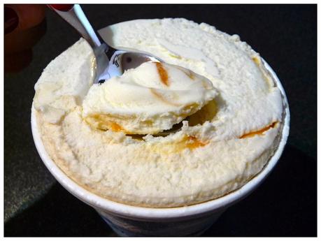 Ben & Jerry's Vanilla Honey Caramel Greek Style Frozen Yogurt
