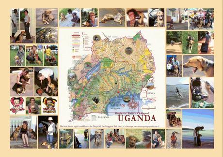 My favourite Uganda dog moments