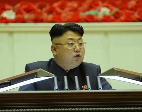 Kim Jong Un speaks at the 8th Conference of Ideological Officials of the KWP in Pyongyang on 25 February 2014 (Photo: Rodong Sinmun).