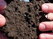 Biodiesel Waste Could Protect Soil Quality