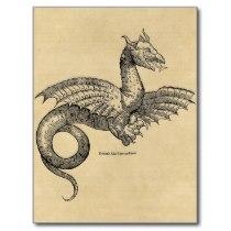 Dragon Parchment postcard