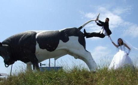 Best Russian Wedding Photos,Ever!