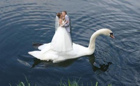 Best Russian Wedding Photos,Ever!