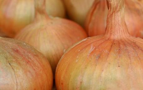 onions drying