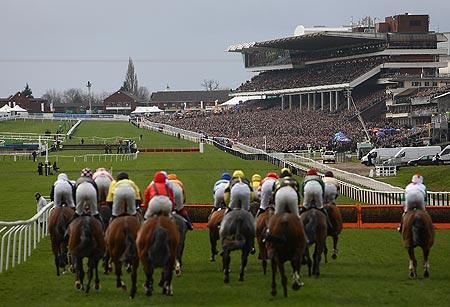 The Cheltenham Festival- A British Institution