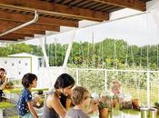 Austin's Casis Elementary School Teaching Garden