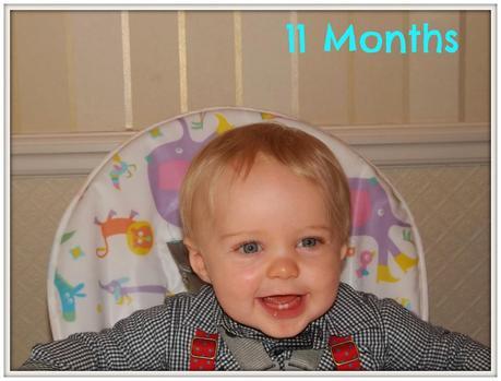 Baby Watch: 11 Months
