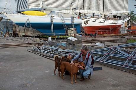 Shipyard dogs