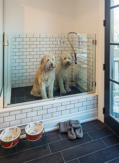 mudroom dog washing station