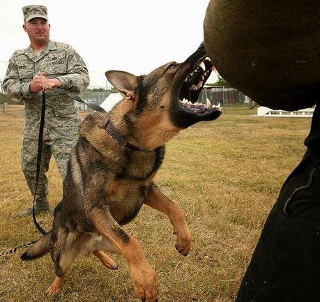 When the roll is called up yonder, will you be there?