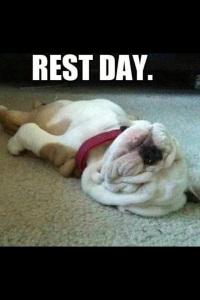 Rest day