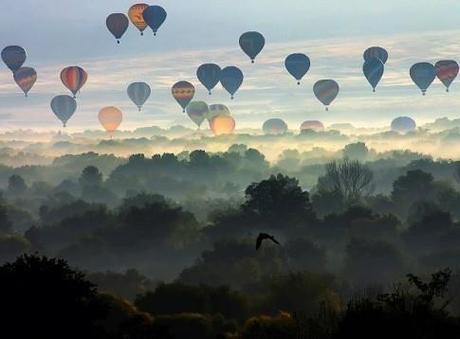 hot air balloons