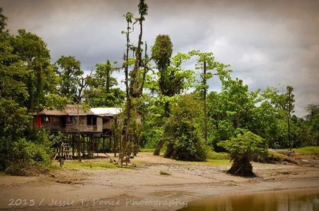 Houses on stilts along the fly river