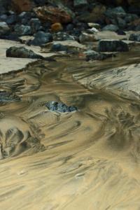 This streamlet made some beautiful patterns in the sand as it ran across the beach (photo: Amanda Scott)