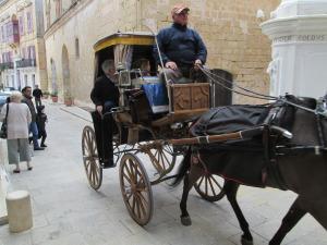 Transport in Madina