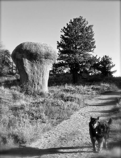 Vedauwoo in Black and White