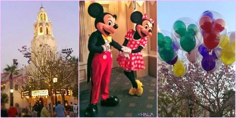 Disney Mickey & Minnie