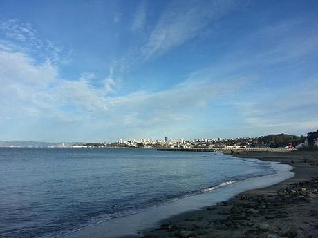 from crissy field