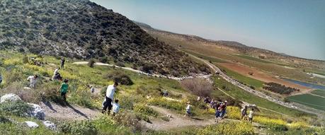 Tiyul: Tel Soche, Givat HaTurmusin, Lupine Hill
