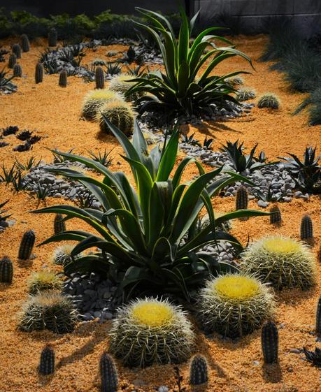 Philadelphia Flower Show 2014