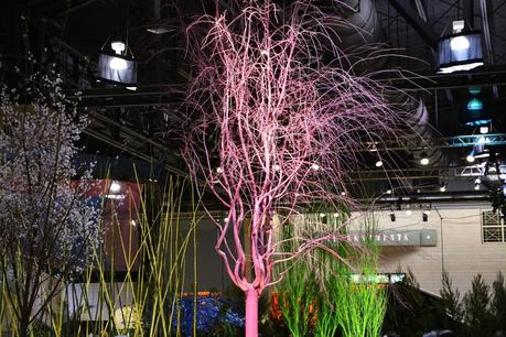 Philadelphia Flower Show 2014