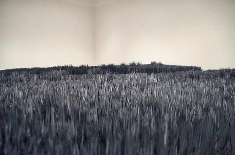 paper arts | paper art installation