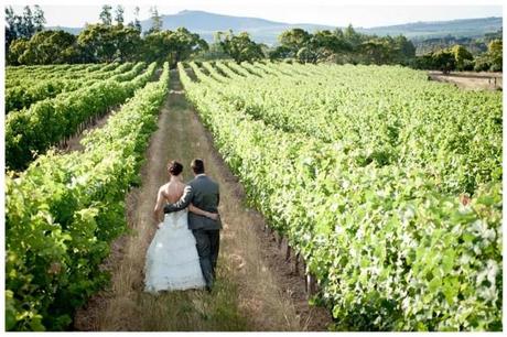 Bride and groom in vineyard