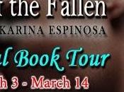 Sins Fallen Karina Espinosa: Spotlight Excerpt