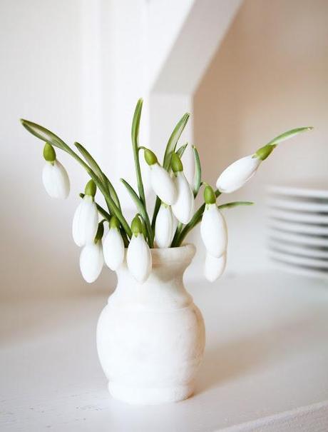 White Flowers In White Vase