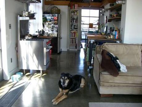 Design Diary: Davis Square Loft With Roof Garden sharon-kitchens-kitchen